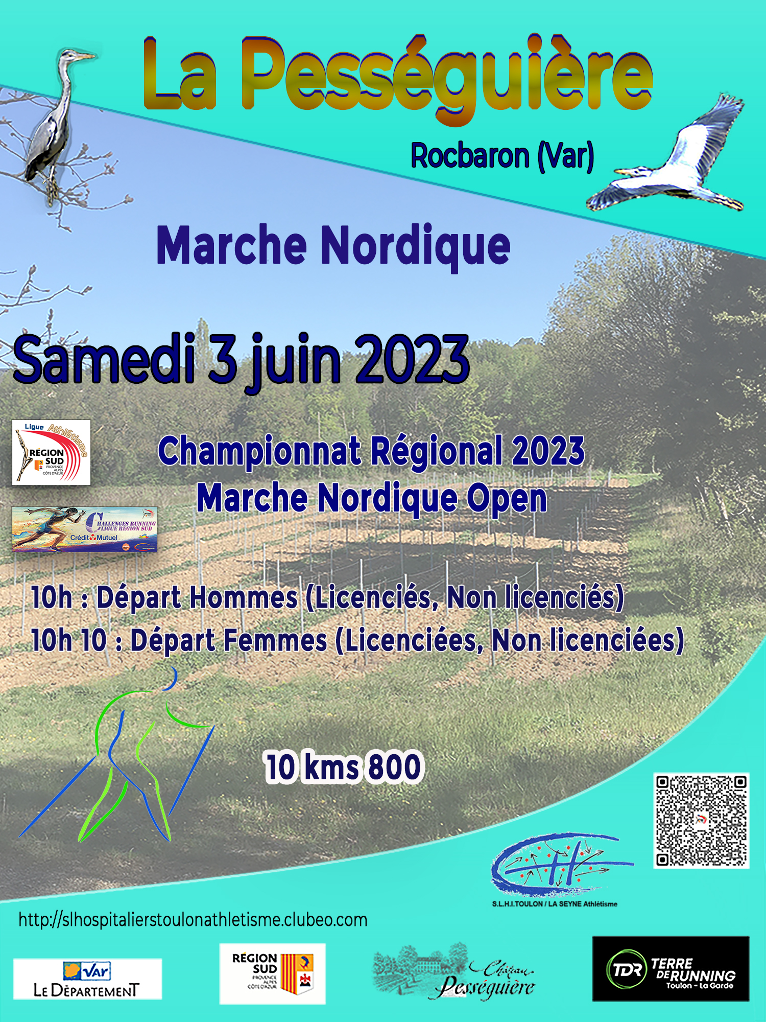 Affiche site